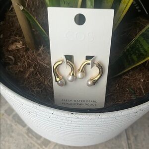 COS Gold and Freshwater Pearl Earrings